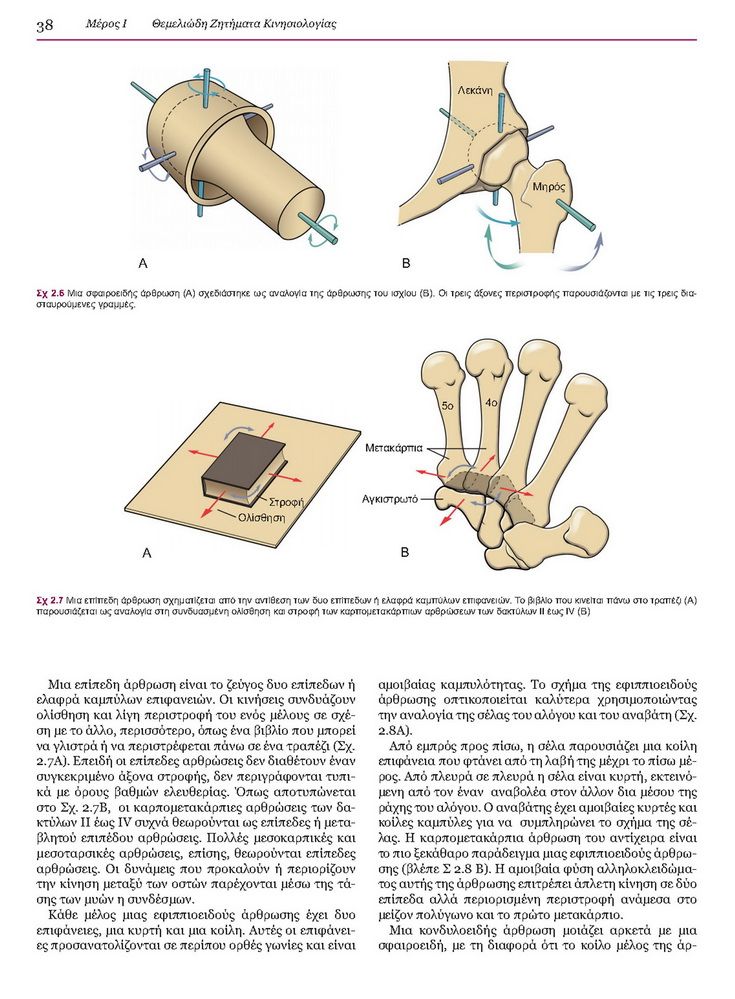 Κινησιολογία του Μυοσκελετικού Συστήματος: Θεμέλια της Αποκατάστασης, 3η έκδοση